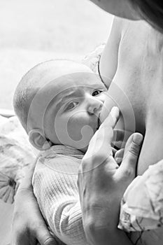 A baby sucks his mother's breast milk, close-up portrait