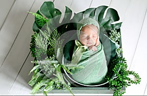Baby is swaddled in a woolen diaper and sleeps sweetly among tropical plants