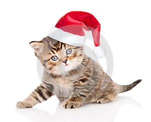 Baby tabby kitten in christmas hat looking at camera. isolated on white