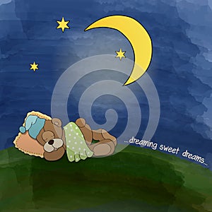 Baby teddy bear sleeping on grass