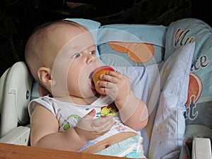 Baby, without teeth, wants to bite off an apple.