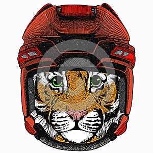 Baby tiger. Small little tiger for children. Hockey helmet.