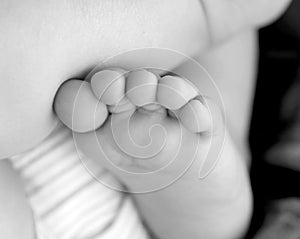 Baby Toes-Black and White