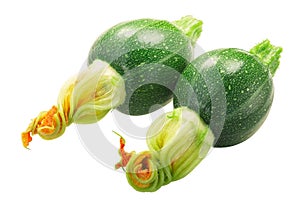 Baby Tondo zucchini with flower  isolated photo