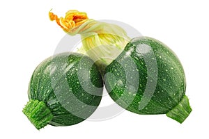 Baby Tondo zucchini with flower  isolated photo