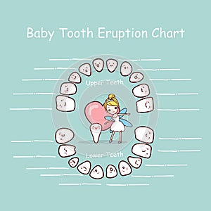 Baby tooth chart eruption record