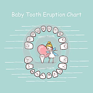 Baby tooth chart eruption record photo