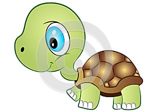 Baby Tortoise Vector Illustration