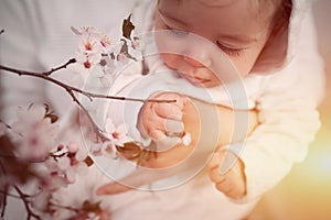 Baby touching flowers. children`s hands closeup