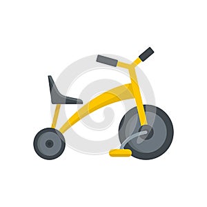 Baby tricycle icon, flat style