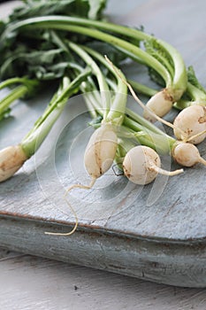 Baby turnips on wooden board