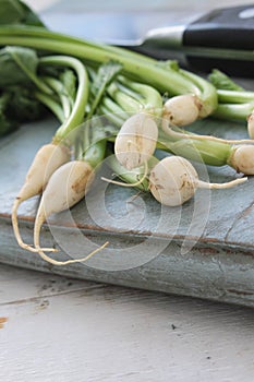 Baby turnips on wooden board