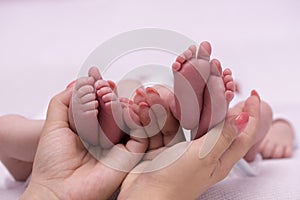 Baby twins feet in mother hands