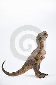 Baby tyrannosaurus rex on white background