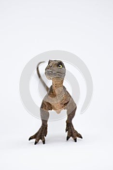 Baby tyrannosaurus rex on white background