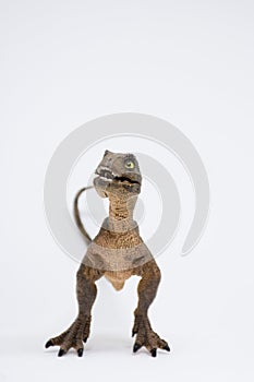 Baby tyrannosaurus rex on white background