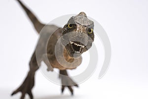 Baby tyrannosaurus rex on white background