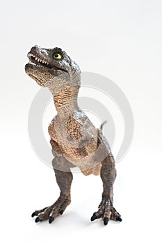 Baby tyrannosaurus rex on white background