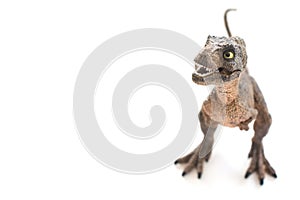 Baby tyrannosaurus rex on white background