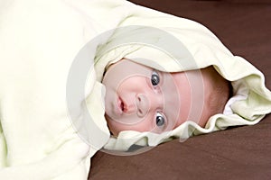 Baby under the blanket