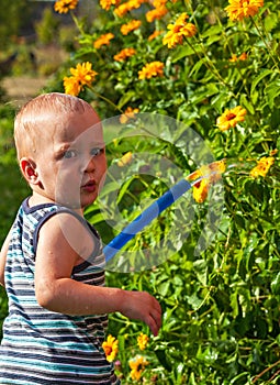 Baby is watering the flowers