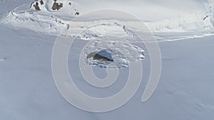 Baby Weddell sea seal. Close-up of cute face