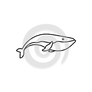 Baby whale icon vector. Whale illustration sign. Sperm whale symbol. Sea life logo.