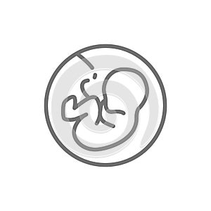 Baby in the womb, embryo, human fetus line icon.