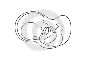 Baby in womb one single line drawing. Cute unborn fetus baby on mother womb isolated on white background. Pregnancy health care