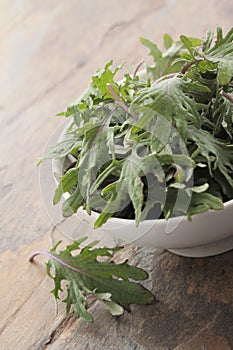 Baby young kale leaf salad