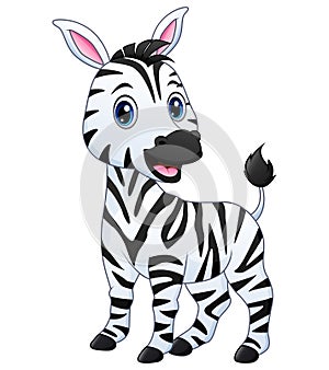 A baby zebra cartoon