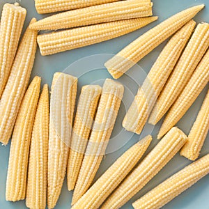 Babycorn