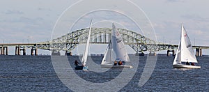 Three small two sail sailboats in the bay with a bridge in the background