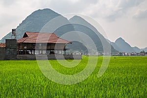 Bac Son valley, Lang Son, Vietnam
