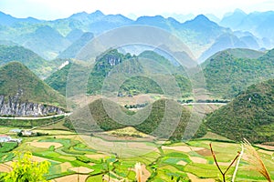 Bac Son valley with Rice field in harvest time, Lang Son province, Vietnam