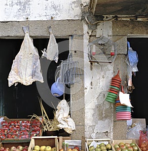 Bacalhau and fruit on sale at the shop