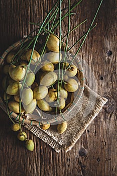 Baccaurea ramifloras