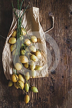 Baccaurea ramifloras