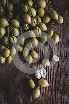 Baccaurea ramifloras