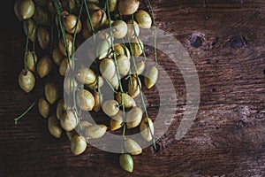 Baccaurea ramifloras