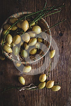 Baccaurea ramifloras