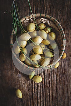 Baccaurea ramifloras