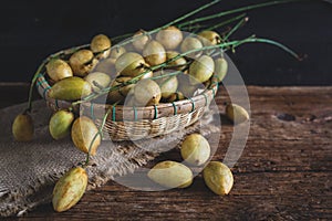 Baccaurea ramifloras