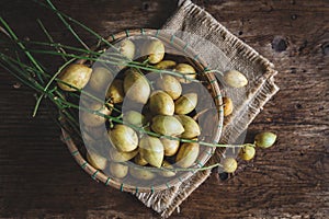 Baccaurea ramifloras