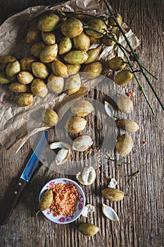 Baccaurea ramifloras