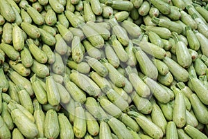 Bacground of small organics zucchini sold on farmers market