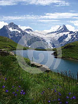 Bachalpsee Switzerland