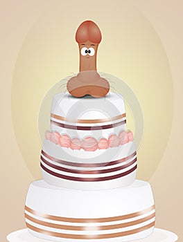 Bachelorette cake with chocolate penis