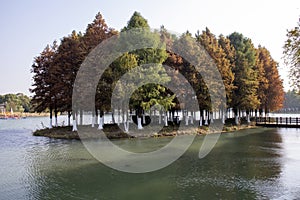 Bacheng Ecological Wetland Park in Suzhou, China during autumn session