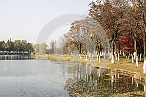 Bacheng Ecological Wetland Park in Suzhou, China during autumn session